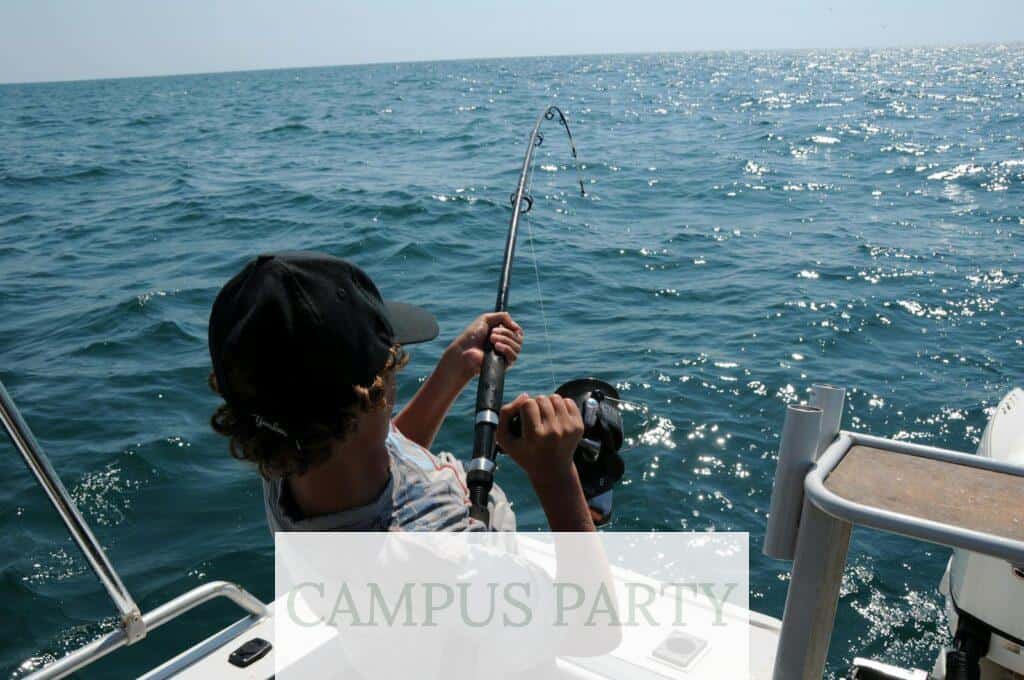 señuelos de pesca y cebos