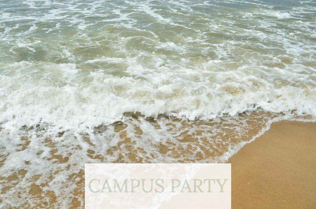 Calm waves gently wash over the sandy beach of Rocha, Uruguay, creating a peaceful coastal scene.