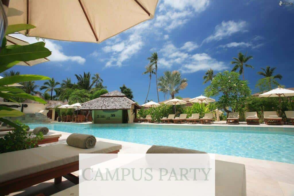 Experience ultimate relaxation at a sunlit tropical poolside resort featuring palm trees and blue skies.