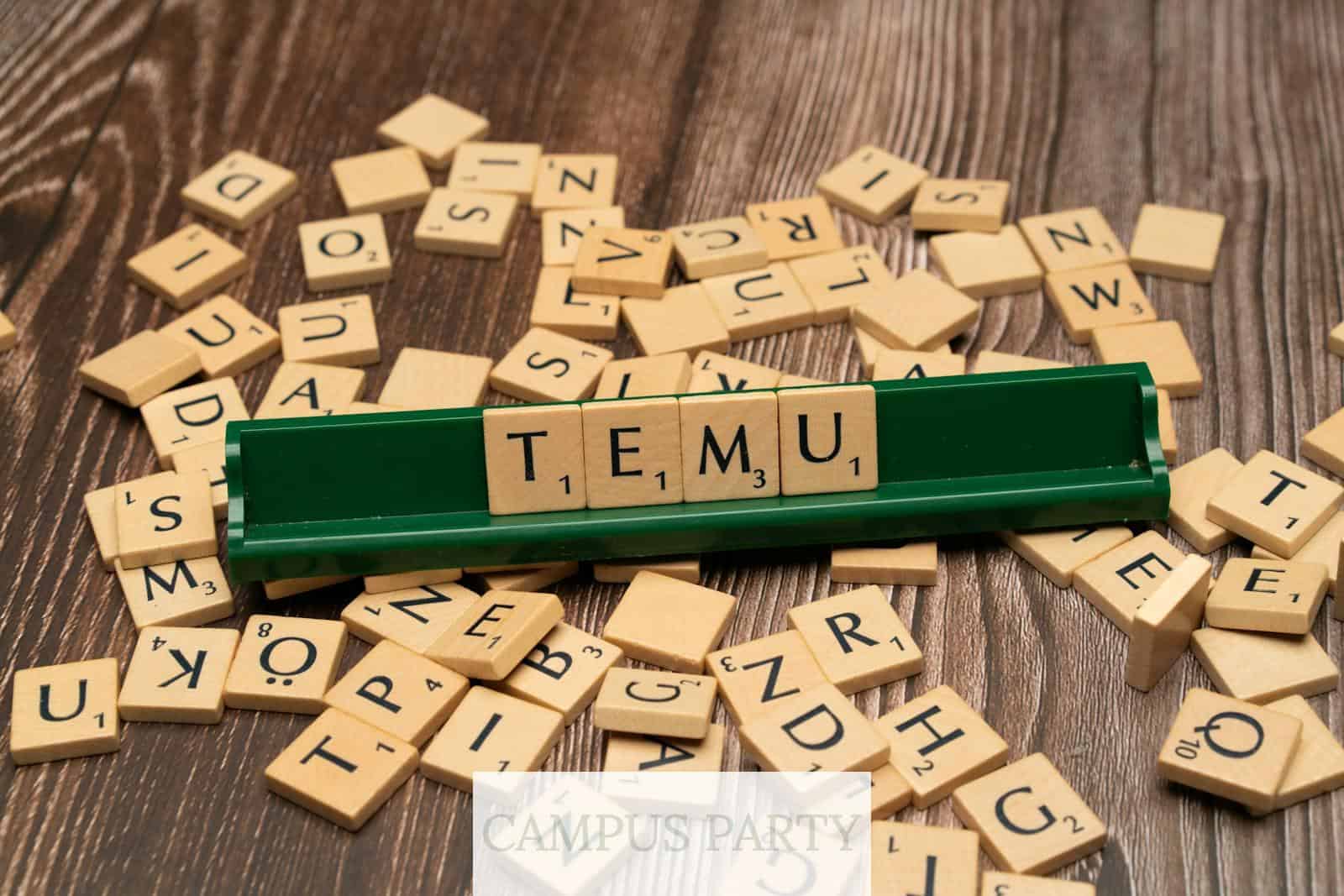 Guia para comprar en Temu