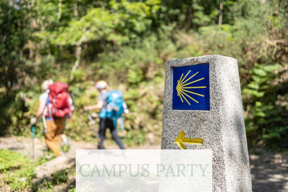 imagen camino de santiago
